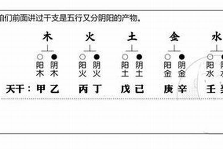 属鸡人2025年走大运