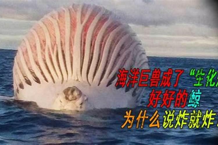 属龙和属猪的婚姻怎样猪和龙能过一辈子吗
