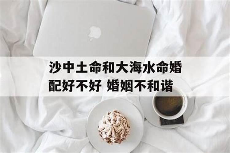 属蛇人犯太岁的化解方法