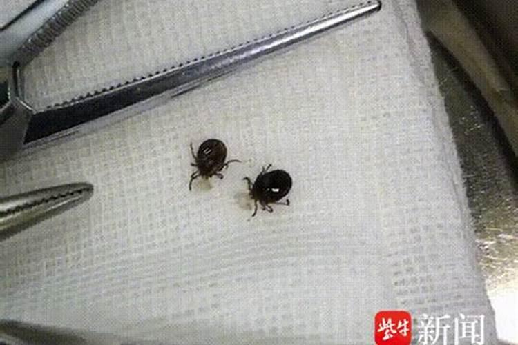 女人梦见白棺材有预兆