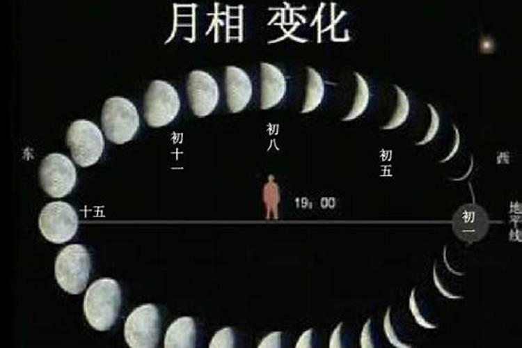属蛇人5月31日运势,77年属蛇人2021年运势运程每月运程