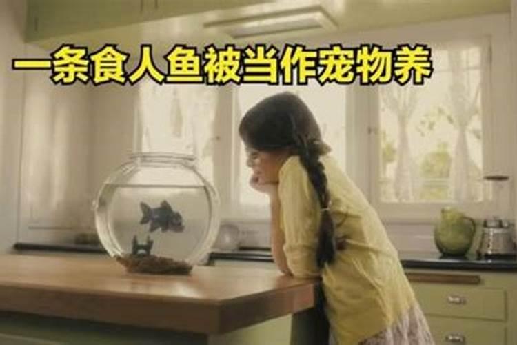梦见被中华鲟咬了一口的预兆