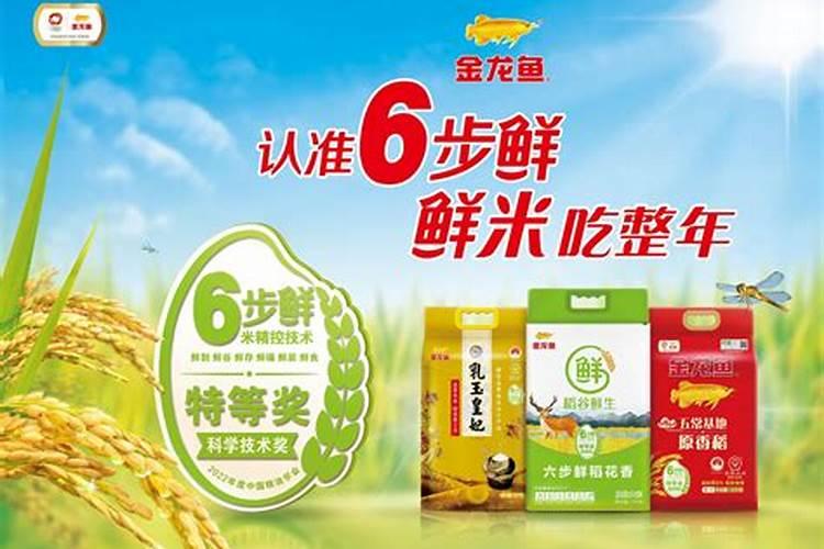猪克蛇还是蛇克猪呢 属蛇和属猪相配吗