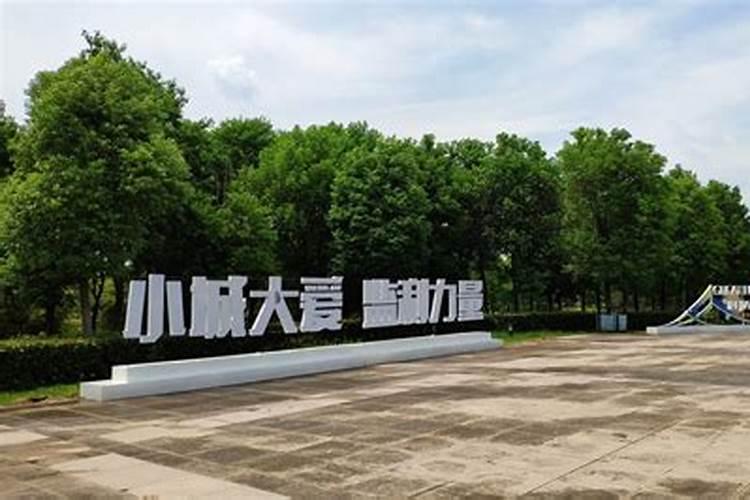 湖北最具代表性的美食是哪些？
