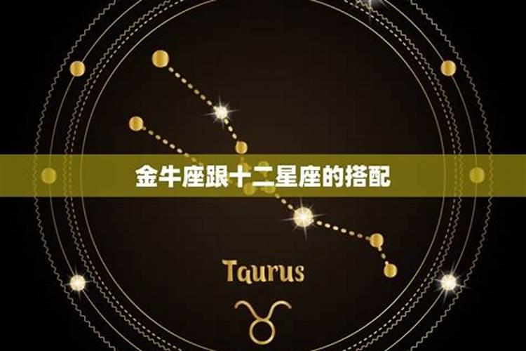 合太岁到底是好还是不好
