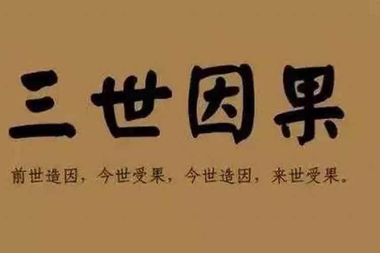 2023年董易奇运程车