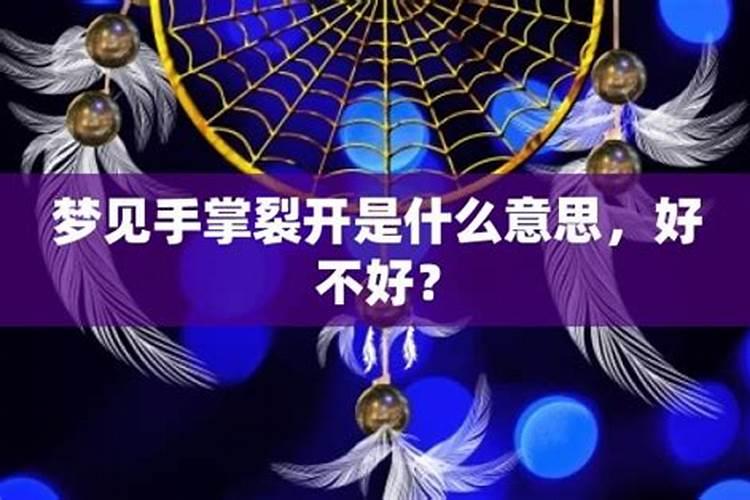 梦见很多只小老虎