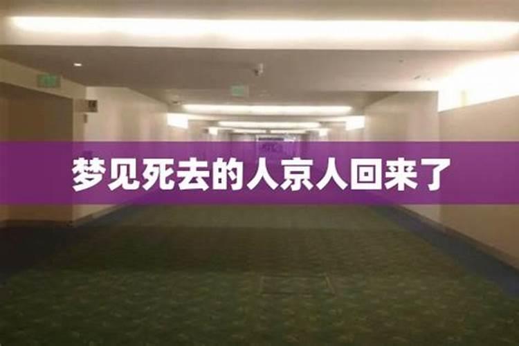 马和猴的婚姻相合吗？