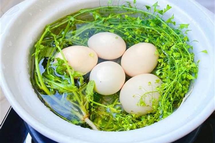 湖北仙桃特产:红庙萝卜