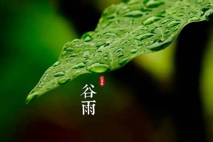 生肖蛇2025年运势及运程如何