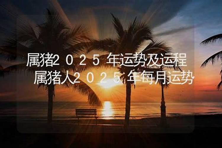 属兔人最倒霉的几年