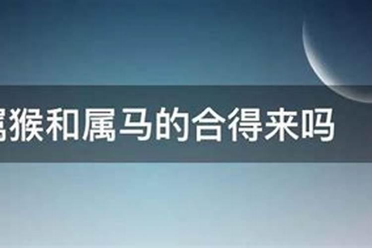 合八字:属马男与属猴女适合做夫妻吗 婚配好吗
