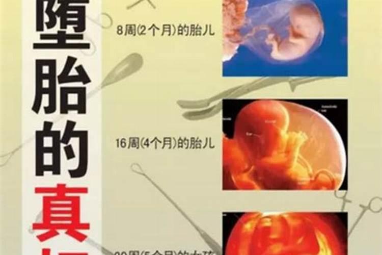 五行属土适合什么行业五行属土的人做什么行业比较旺