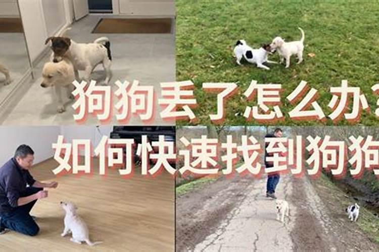清宫生男生女表年龄的算法？