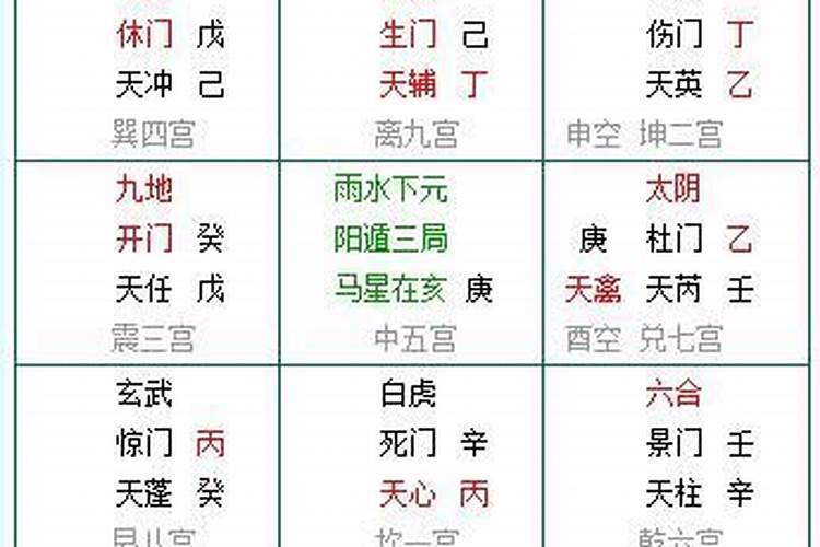 属相马在二零二五年的运势
