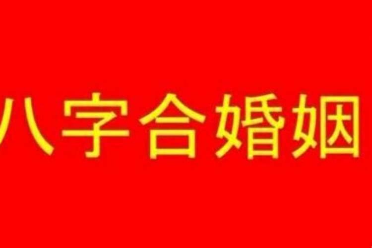 端午节有什么风俗活动