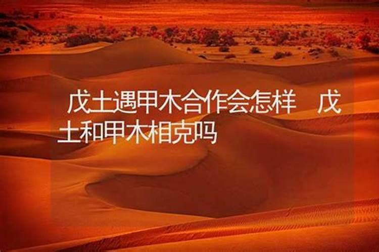 梦见和女人亲嘴拥抱