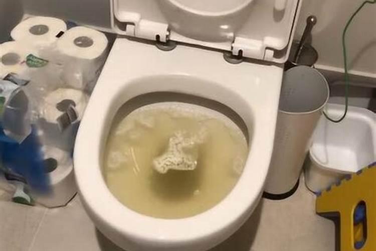 冬至北方吃什么北方冬至吃的食物介绍