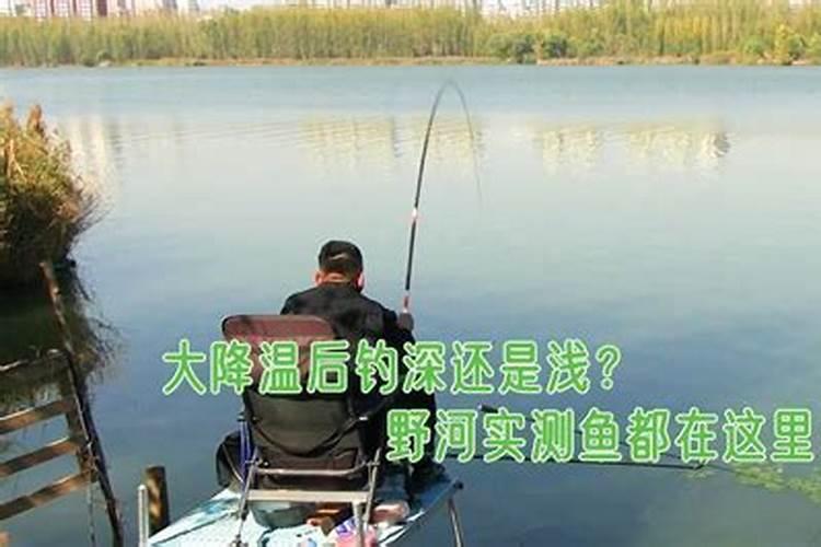 免费八字排大运分析,八字大运怎么排