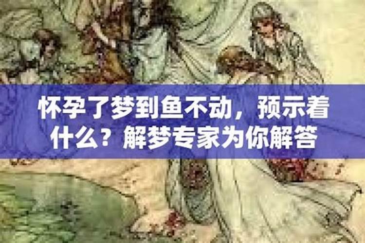 属虎犯太岁年份有哪些