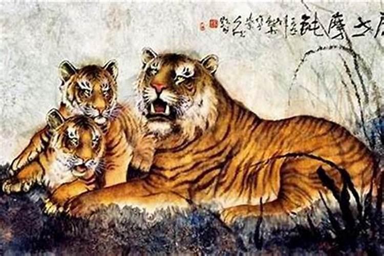 1950年子时出生的生肖属虎人是什么命,家庭兴旺发达,晚景幸福安康？百 ...