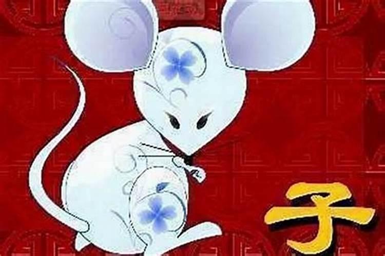 2025年为什么龙也犯太岁呢