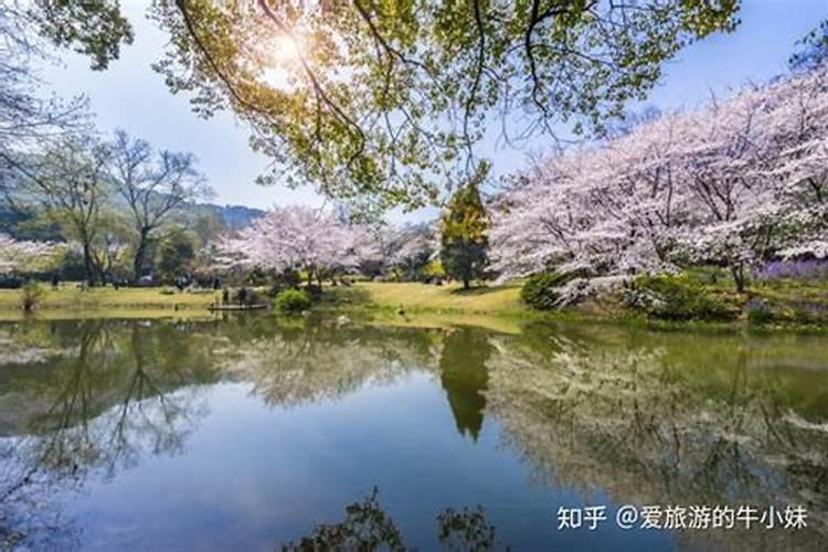 辽宁清明节三天假期适合去哪玩
