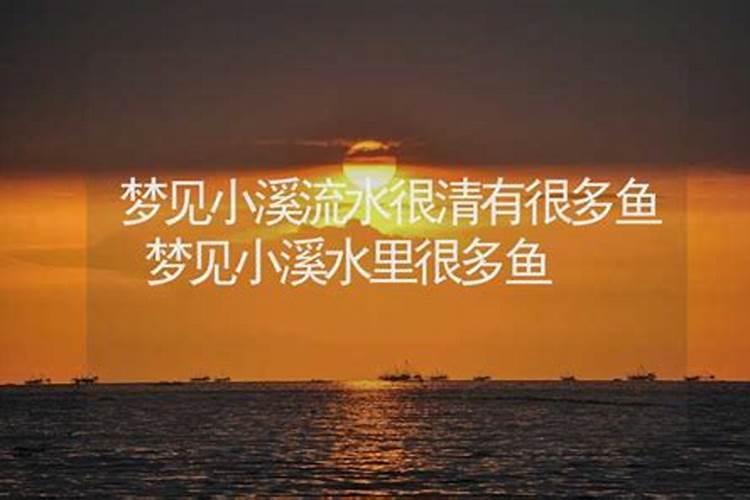 属猴女2024年12月份运势
