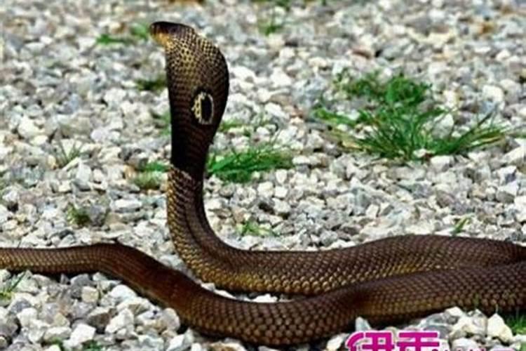 历史人物谁是正月十五的生日