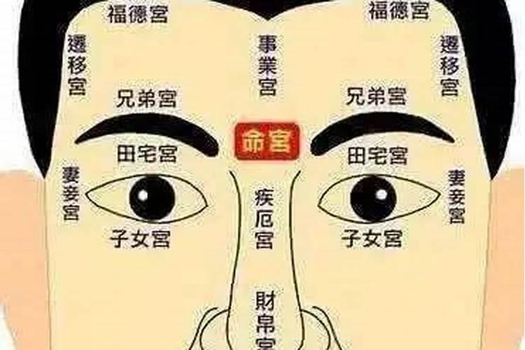 没有喉结的男人面相的详细特征大全