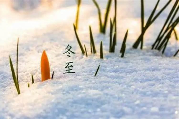 花姐命查询
