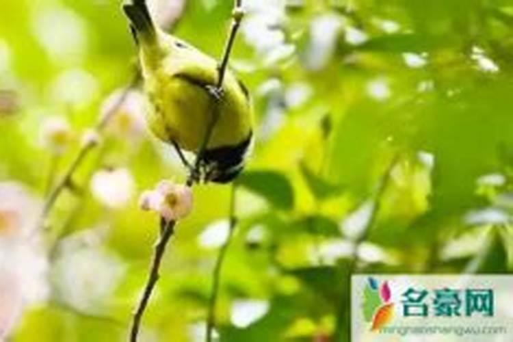 2024年立春躲春时间 今年什么时候躲春