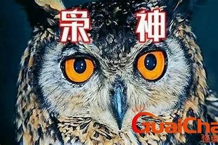 贵州桐梓县板桥镇赶场时间