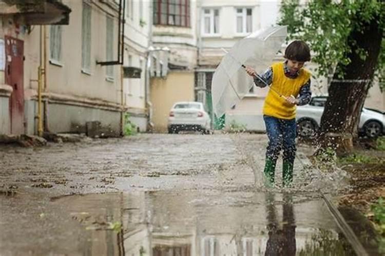 梦见雨后很多水什么意思