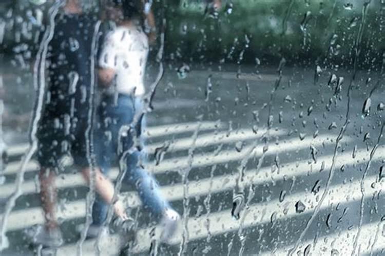 梦见雨后积水的预兆