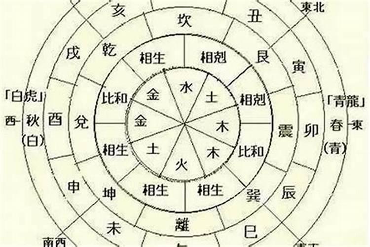 2025年兔子的运势如何