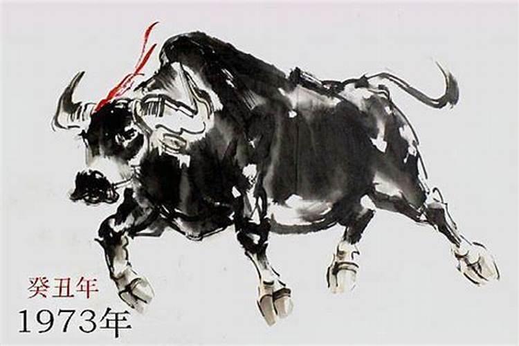 1973年属牛人一生运势