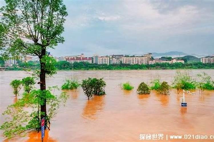 梦到洪水但是自己安然无恙