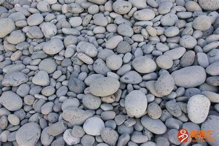 属猴2025运势及运程详解 属猴人2025年每月运势