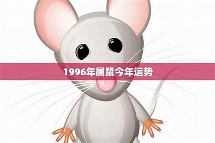 1996年2025年属鼠人的全年运势
