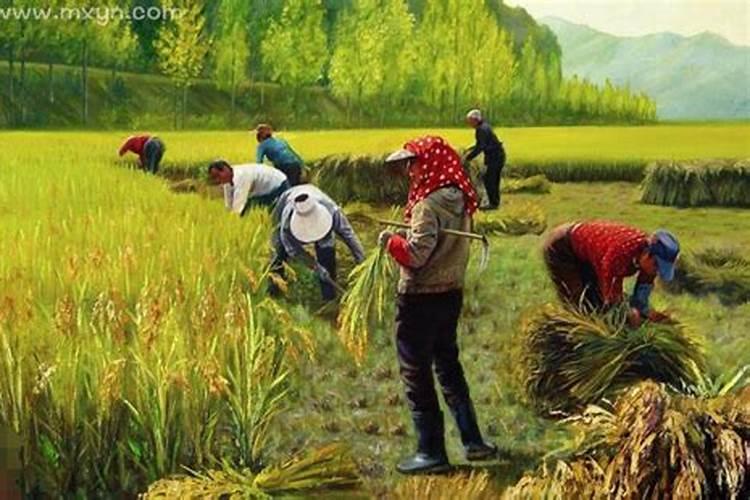 92年属猴的是什么命 92年属猴的命运怎么样？