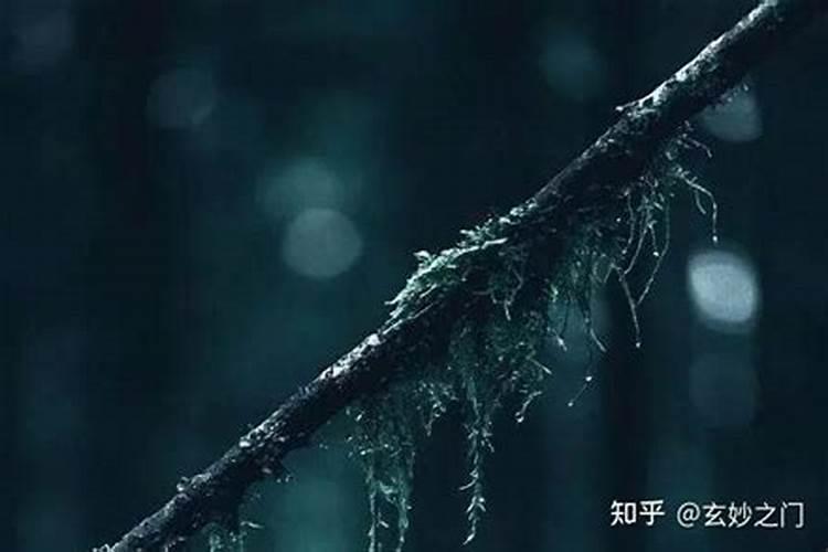行大运什么意思