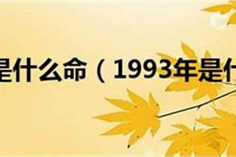 若为一碗东坡肉 ,甘愿等到天地荒……