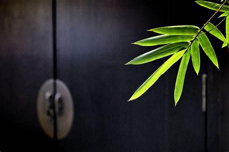 小人是什么意思 对付小人的六种方法看看哪种最好