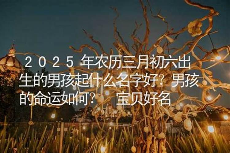 算命几斤几两是什么意思啊？