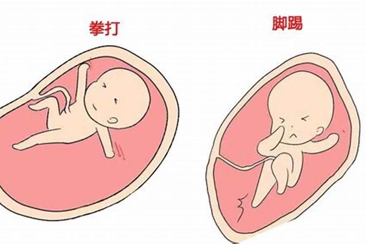 男牛女兔属相合不合