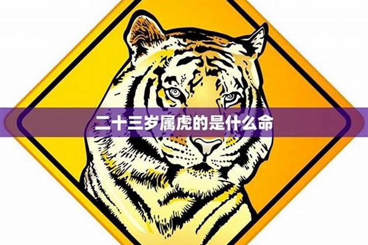 夏至出生的女孩 先苦后甜厚积薄发？