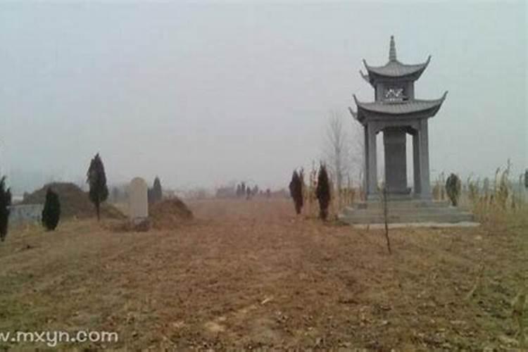 女人梦到绿色植物茂盛是什么预兆？