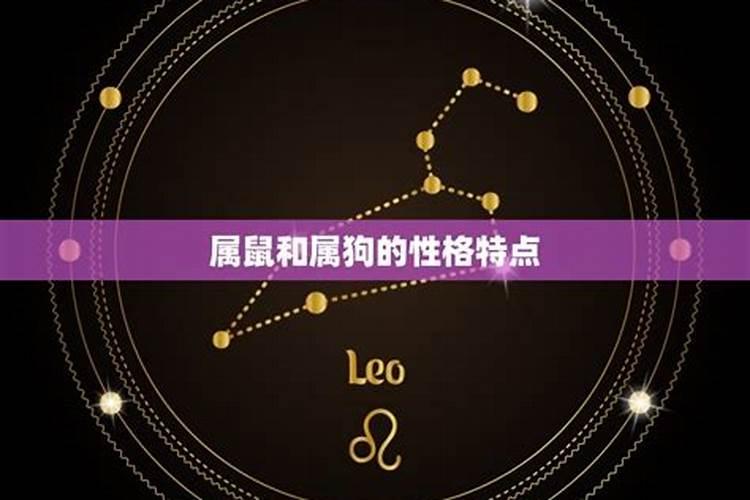 属鼠和属羊合婚不合,八字合婚如果不合可以补救吗