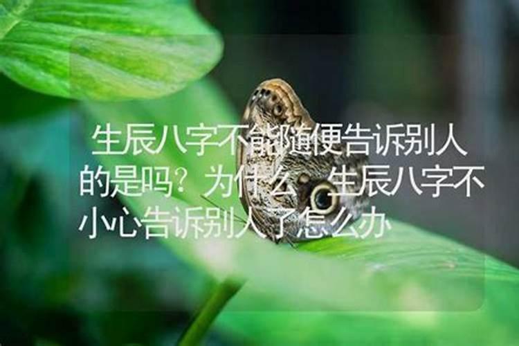 女人做梦别人怀孕是吉兆